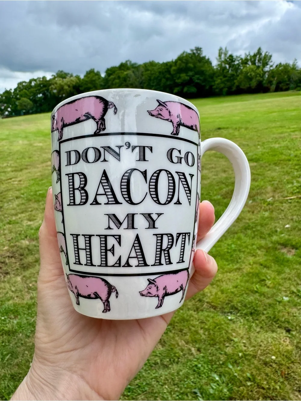 Pier 1 Imports Pig Mug 16 oz.